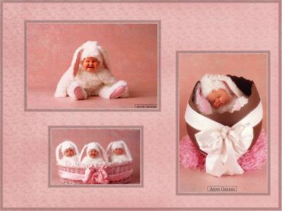 bébés lapin